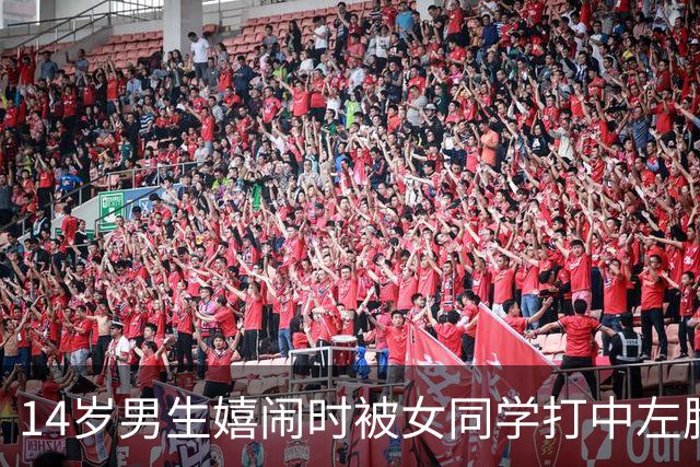 14岁男生嬉闹时被女同学打中左胸后瘫痪 家属：女孩父母为残疾人，后续费用无着落